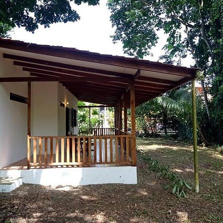 Green Papaya Villa Puerto Viejo de Talamanca Ngoại thất bức ảnh