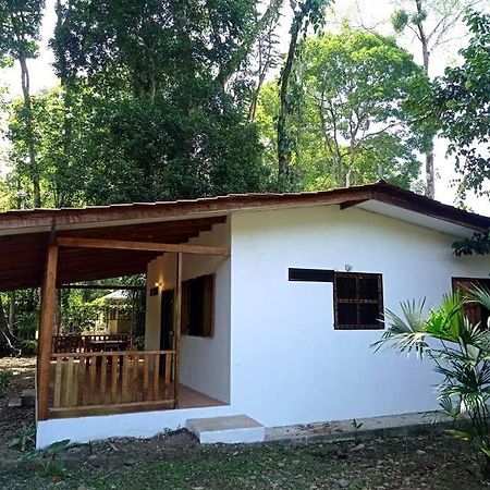 Green Papaya Villa Puerto Viejo de Talamanca Ngoại thất bức ảnh