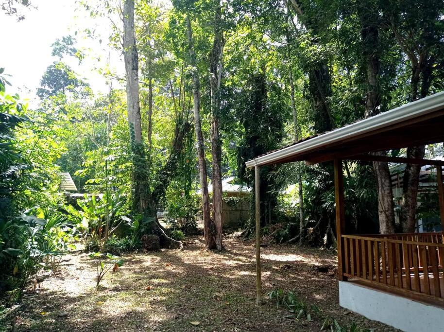 Green Papaya Villa Puerto Viejo de Talamanca Ngoại thất bức ảnh