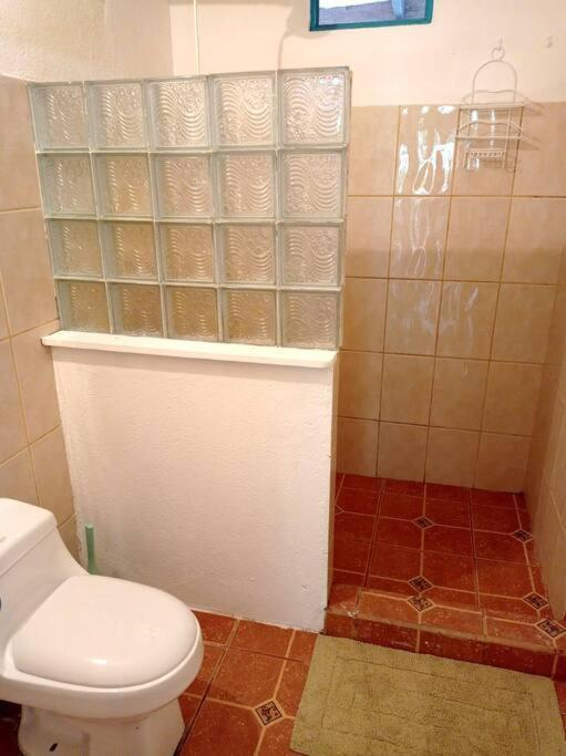 Green Papaya Villa Puerto Viejo de Talamanca Ngoại thất bức ảnh