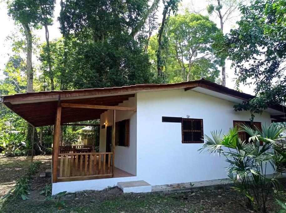 Green Papaya Villa Puerto Viejo de Talamanca Ngoại thất bức ảnh