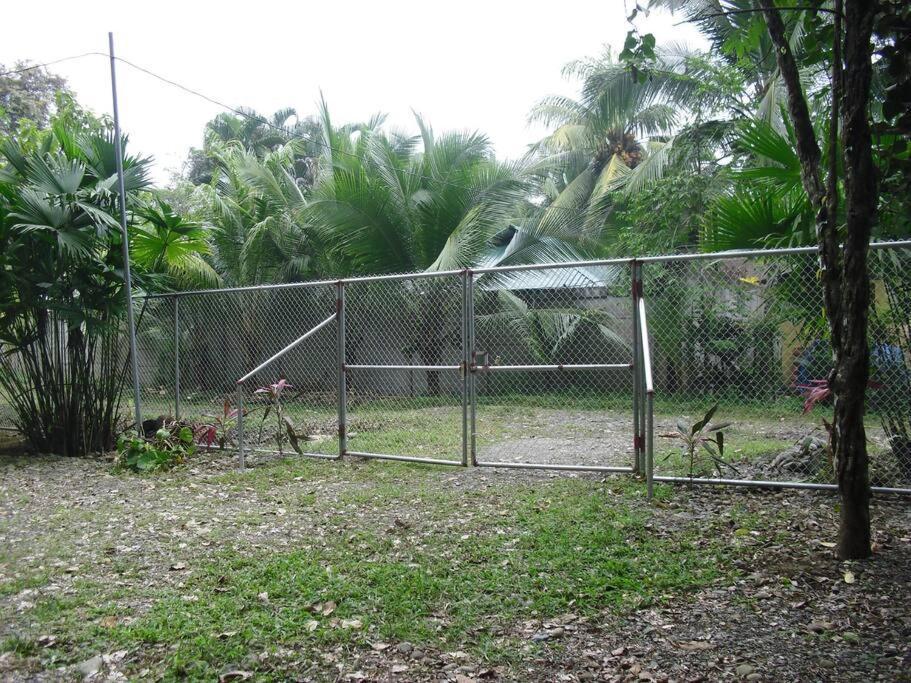 Green Papaya Villa Puerto Viejo de Talamanca Ngoại thất bức ảnh