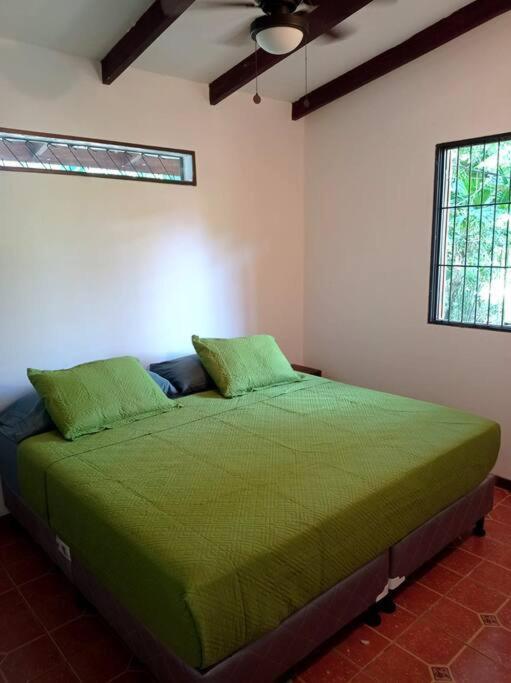Green Papaya Villa Puerto Viejo de Talamanca Ngoại thất bức ảnh